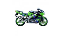 2002-2003 Kawasaki ZX9R Fairings