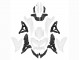 2021-2024 Kawasaki Versys 650 Motorcycle Fairings - White