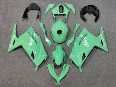 2013-2024 Kawasaki EX300 Motorcycle Fairings - Light Green White