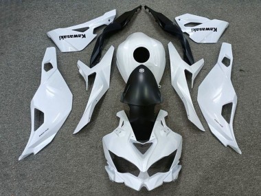 2019-2025 Kawasaki ZX25R ZX-25R Motorcycle Fairings - White Matte Black